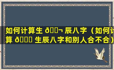 如何计算生 🐬 辰八字（如何计算 🐋 生辰八字和别人合不合）